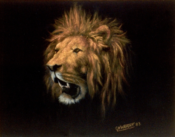 Lion's Head (1)