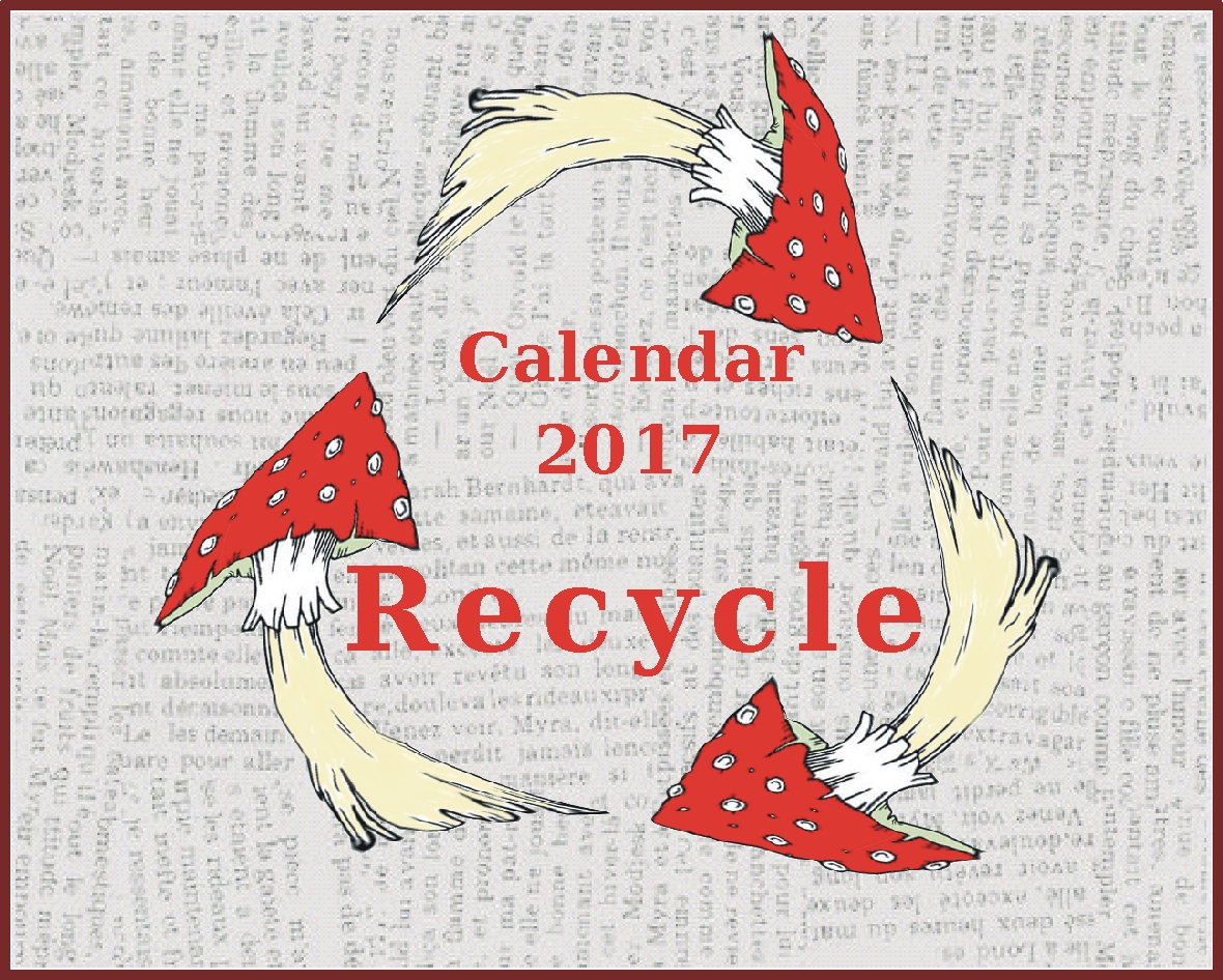 2017  Recycle